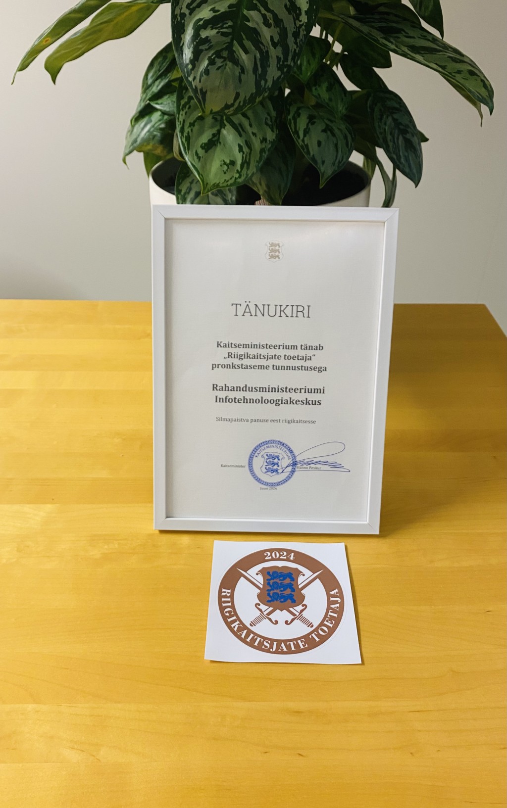 Riigikaitsjate toetja tunnustus _ pronkstaseme märgis (002).png